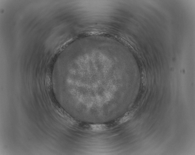 X0000071800371200607211653