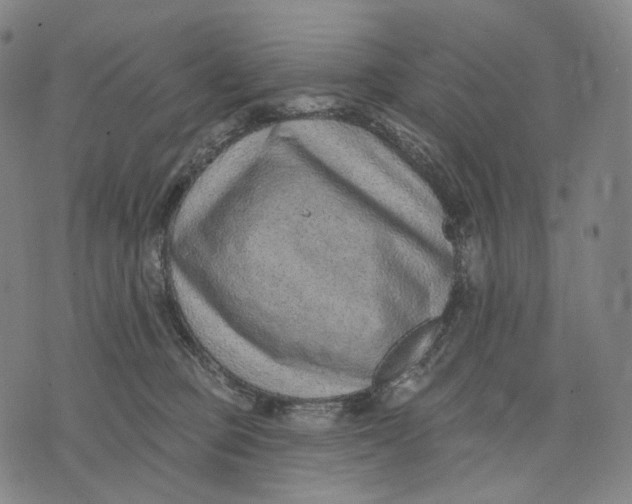 X0000071800373200607211653