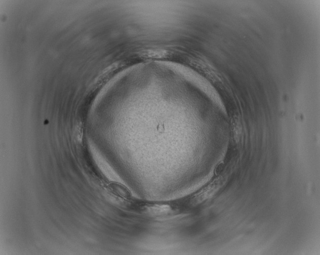 X0000071800374200607211653