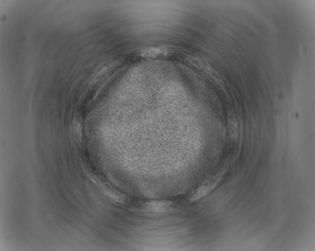 X0000071800375200607211653