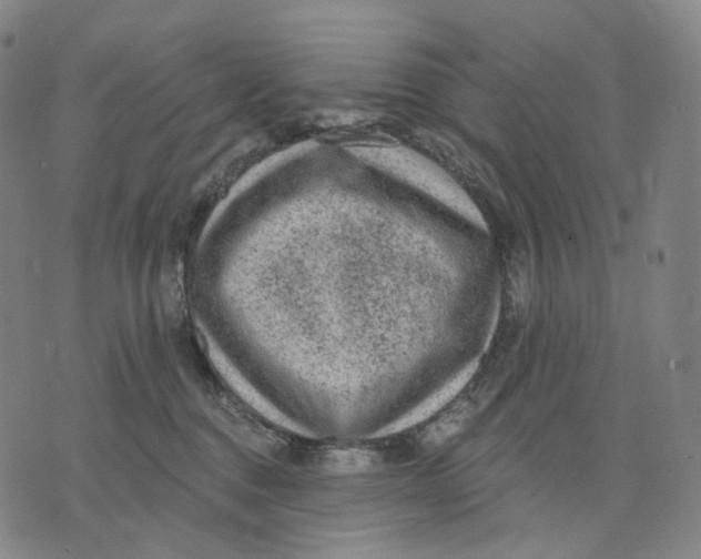 X0000071800376200607211653