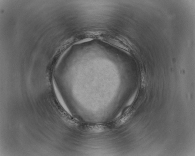 X0000071800377200607211653