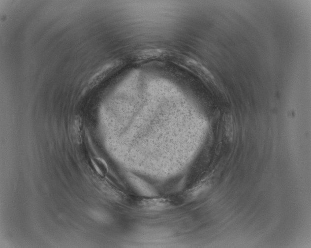 X0000071800378200607211653