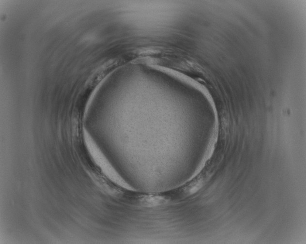 X0000071800379200607211653