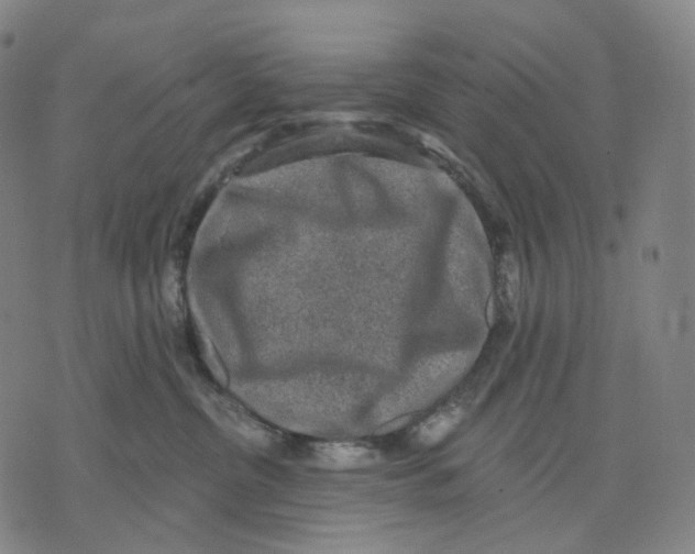 X0000071800380200607211653