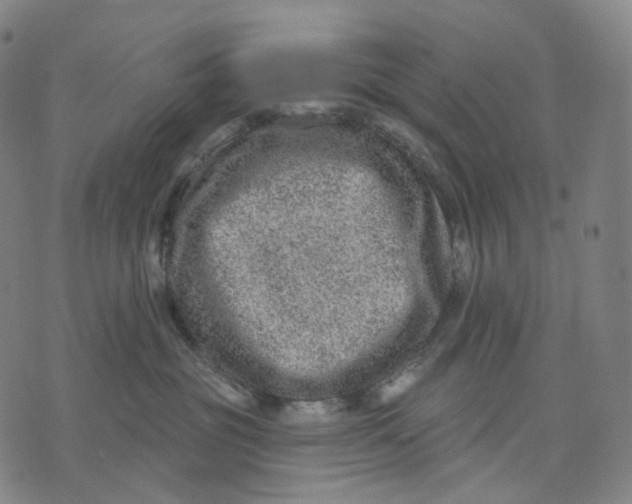 X0000071800381200607211653