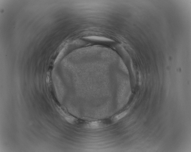 X0000071800382200607211653