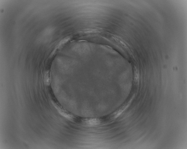 X0000071800383200607211653