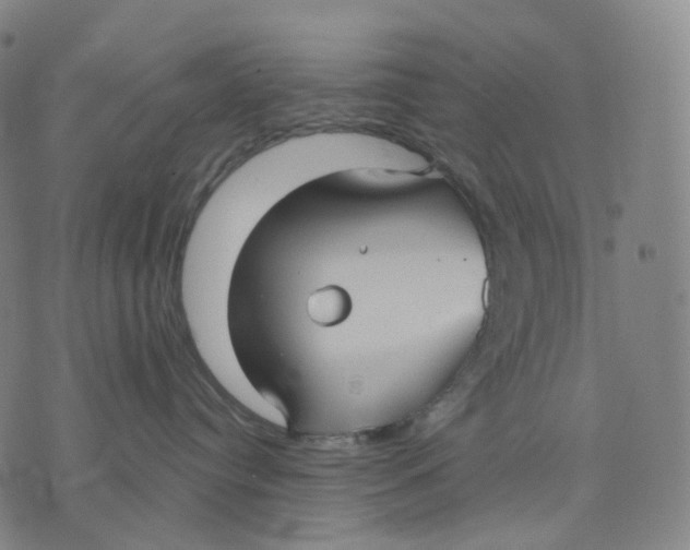 X0000071800384200607211653