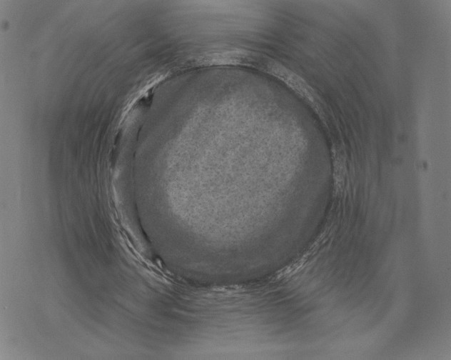 X0000071800386200607211652