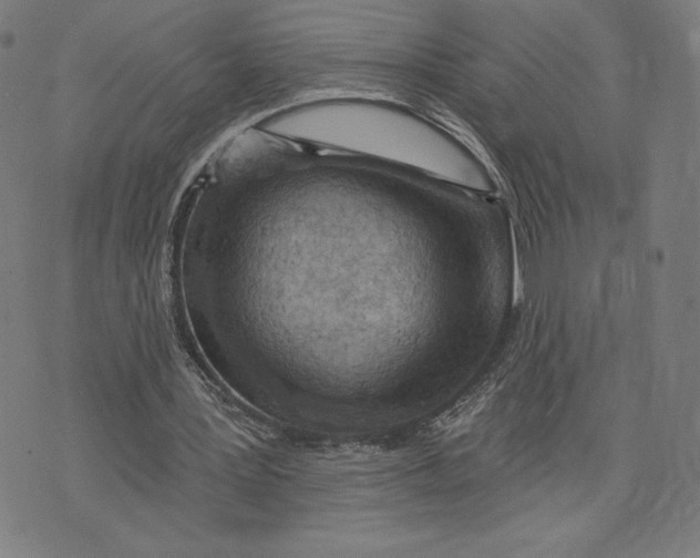 X0000071800387200607211652