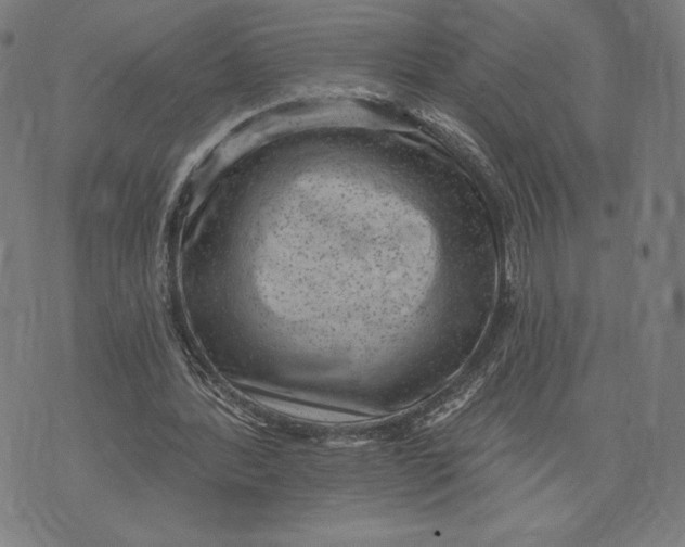 X0000071800388200607211652