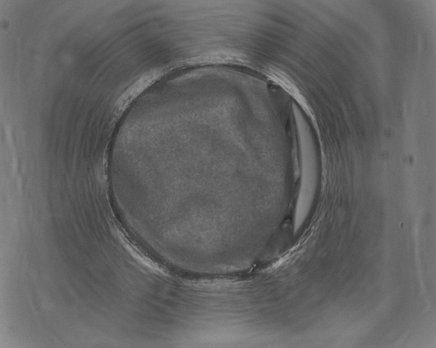 X0000071800389200607211652