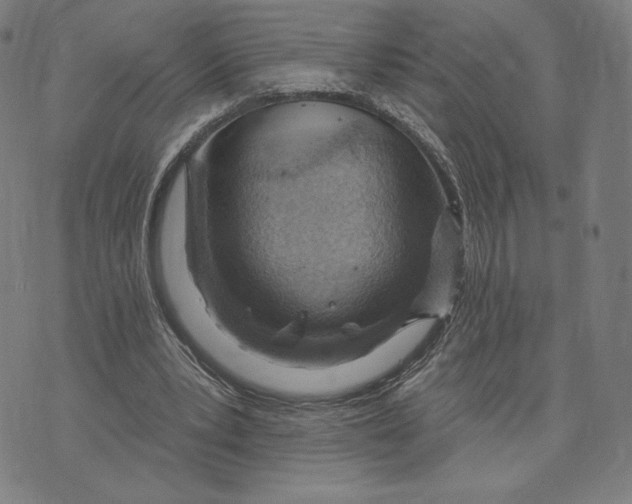 X0000071800391200607211652