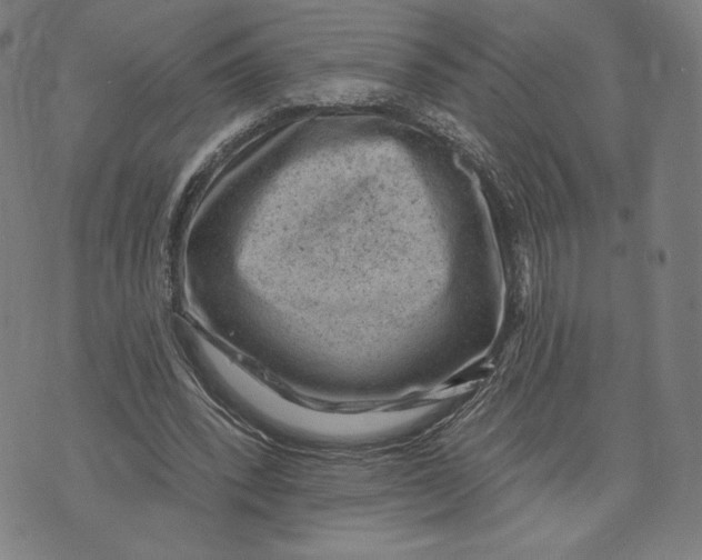 X0000071800392200607211652