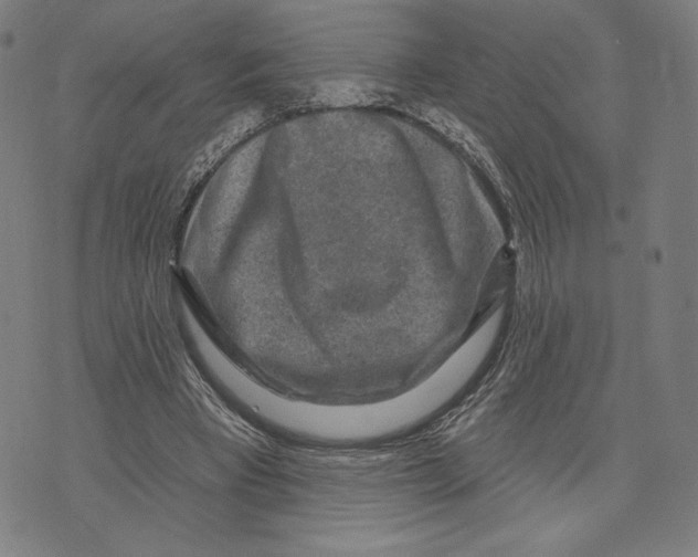 X0000071800393200607211652