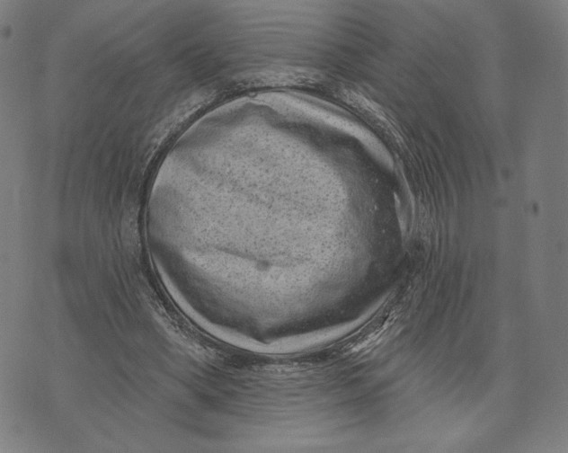 X0000071800394200607211652