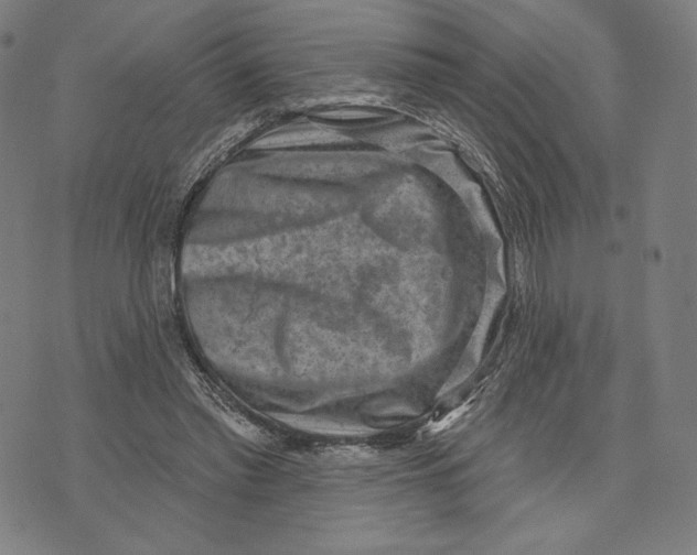 X0000071800397200607211652