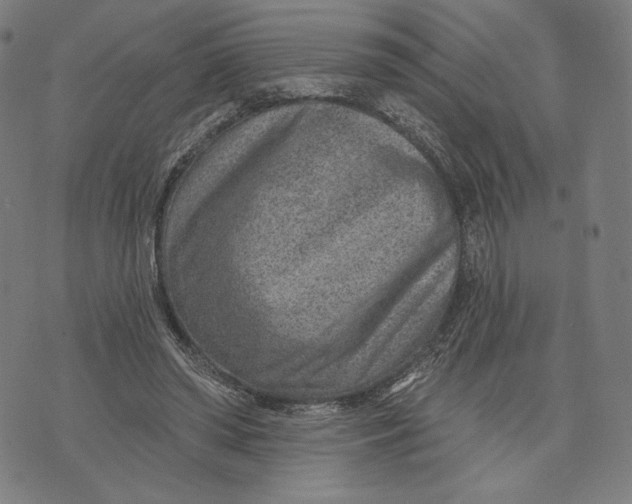 X0000071800398200607211652