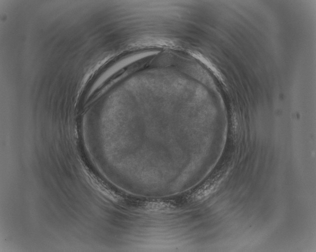 X0000071800399200607211652