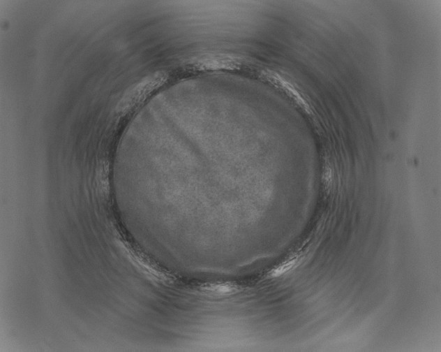 X0000071800402200607211652