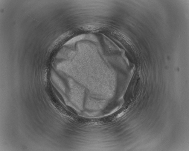 X0000071800404200607211652