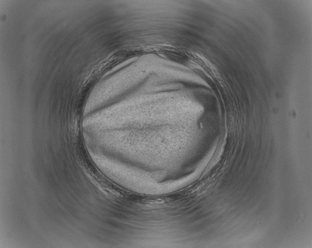 X0000071800405200607211652