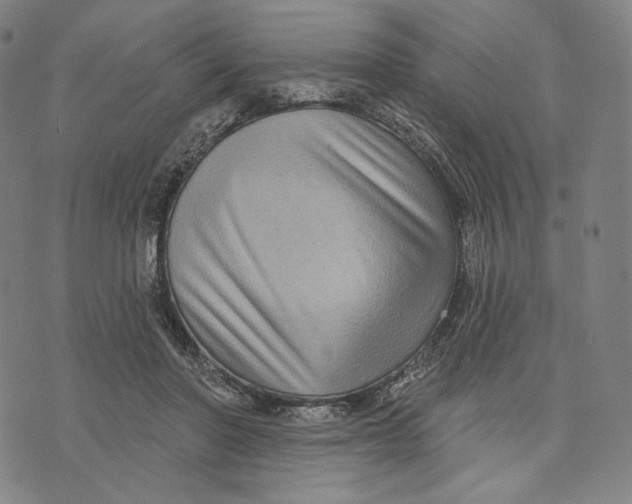 X0000071800406200607211652