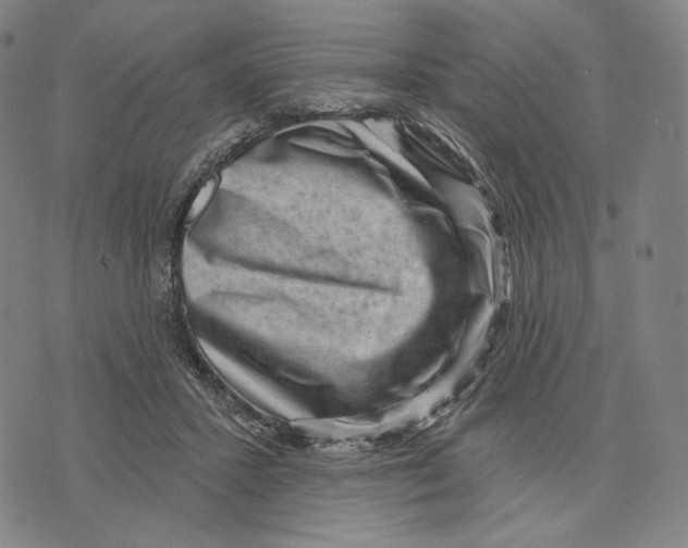 X0000071800407200607211652