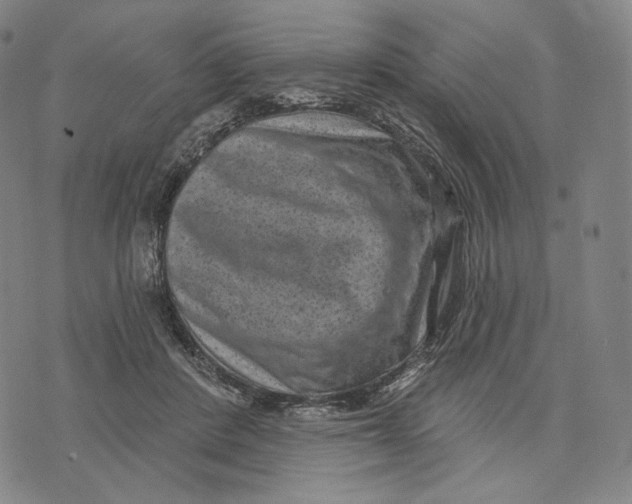 X0000071800408200607211652