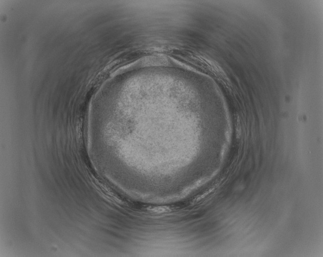 X0000071800409200607211652