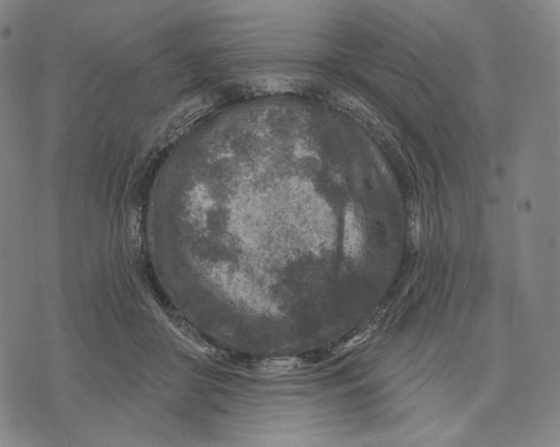 X0000071800410200607211652