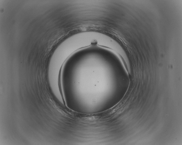 X0000071800411200607211652