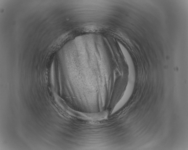 X0000071800413200607211652