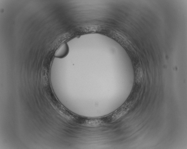 X0000071800414200607211652