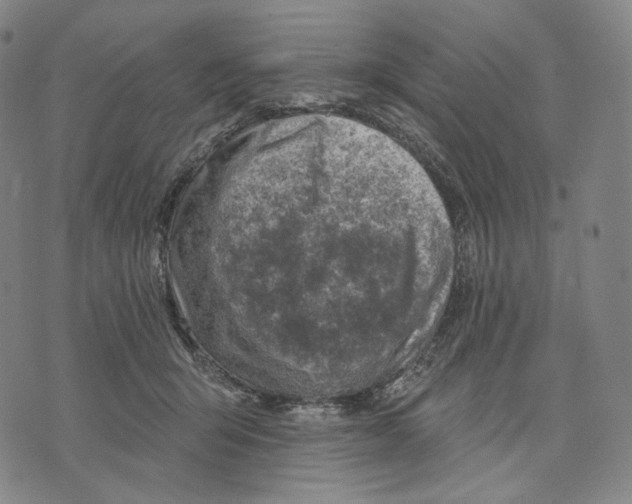 X0000071800415200607211652