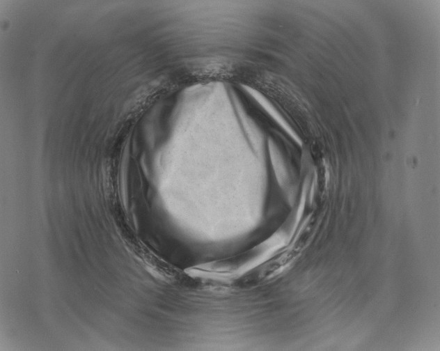 X0000071800416200607211652