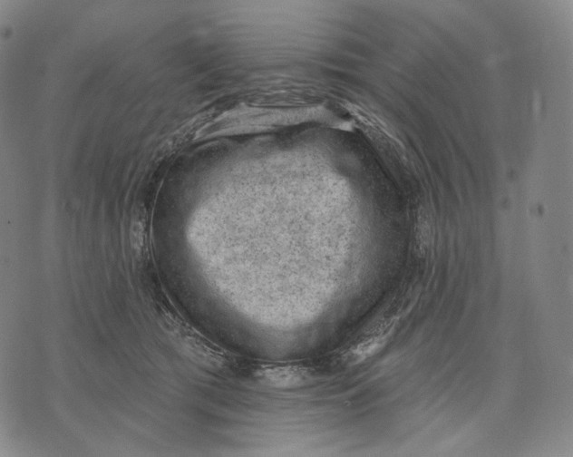 X0000071800417200607211652