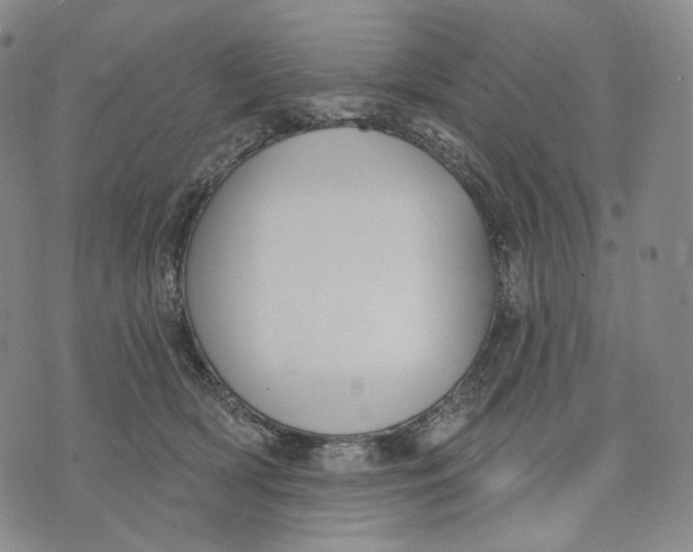 X0000071800418200607211652