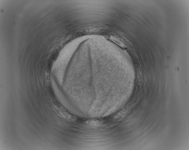 X0000071800419200607211652