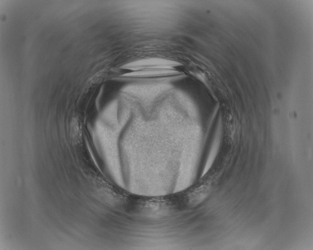 X0000071800420200607211652