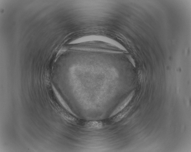 X0000071800421200607211652