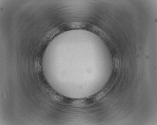 X0000071800422200607211652