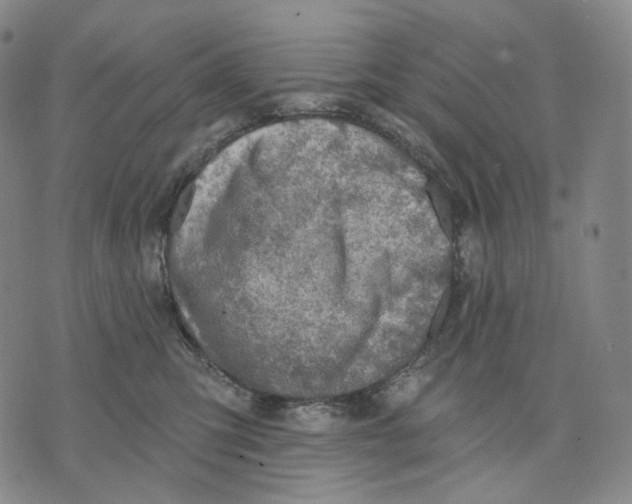 X0000071800423200607211651