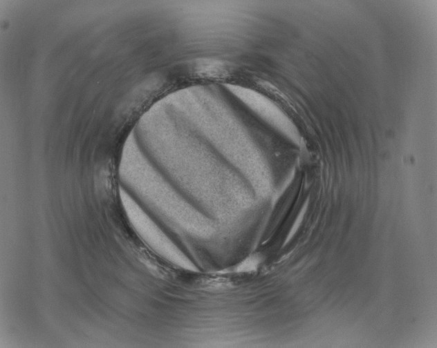 X0000071800424200607211651