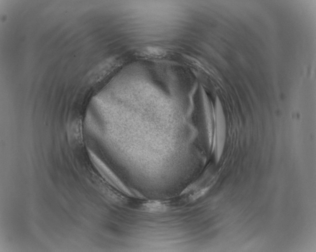 X0000071800425200607211651