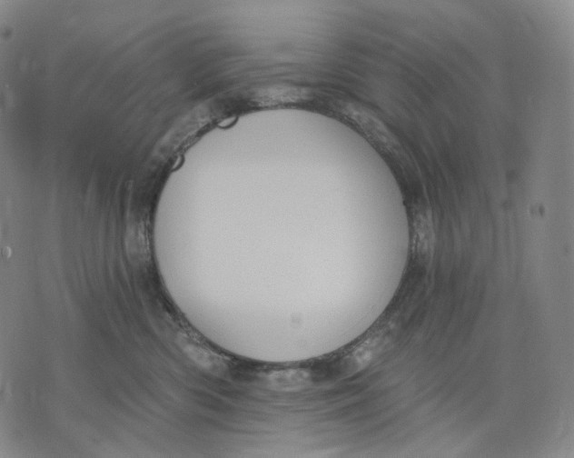 X0000071800426200607211651