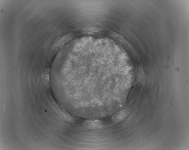 X0000071800427200607211651