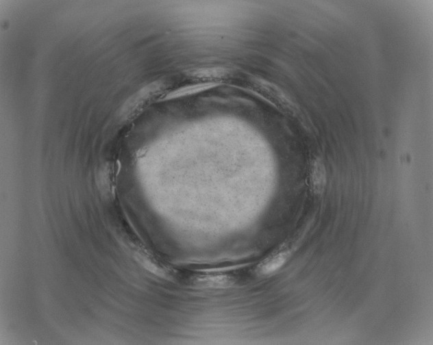 X0000071800428200607211651