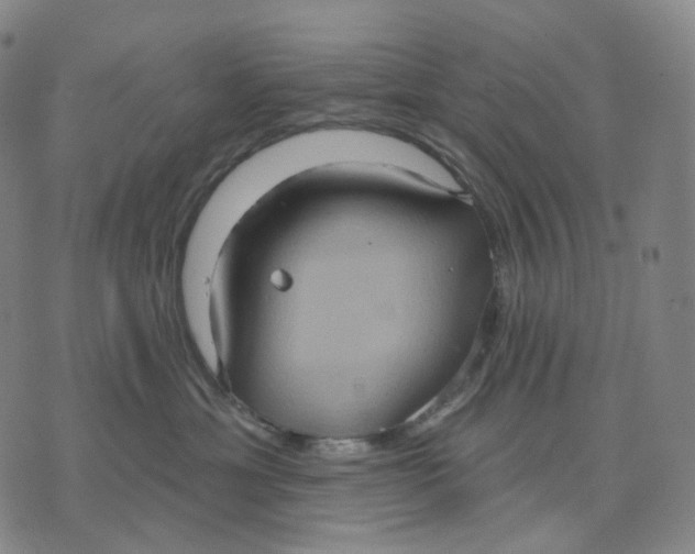 X0000071800429200607211651